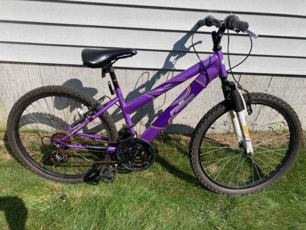 Rallye Incline 24"