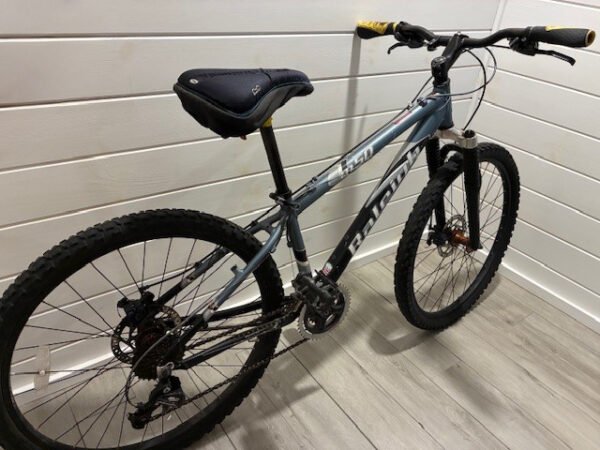 Raleigh M50 Mountain Bike