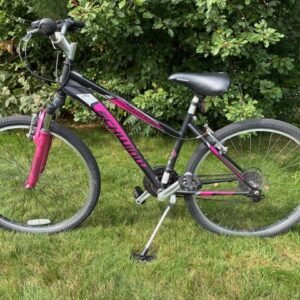 Schwinn Side Winder