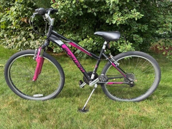 Schwinn Side Winder