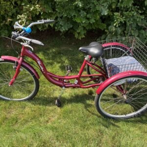Schwinn Meridian