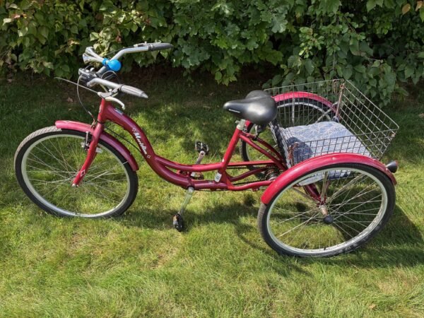 Schwinn Meridian