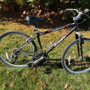 Schwinn Midmoor